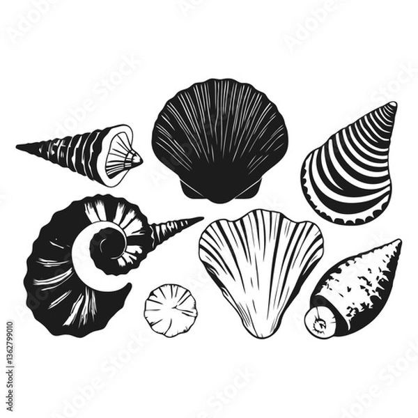 Obraz black and white vector illustration of a spiral seashell with fine details on a white background, ideal for PNG files.
