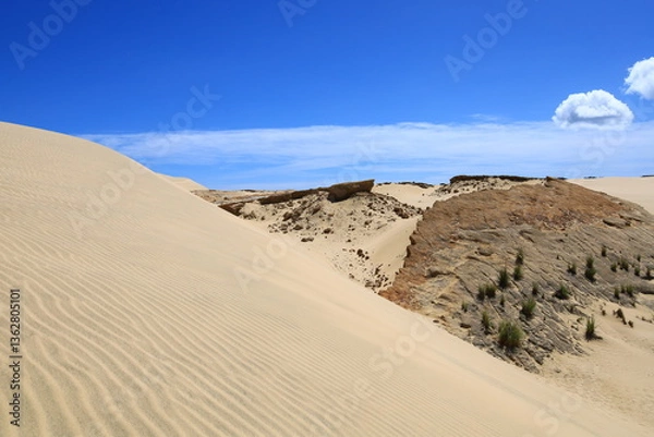 Obraz Te Paki Sand Dunes, also called the Giant Sand Dunes, are a collection of sand dunes located on the Northland Peninsula of New Zealand
