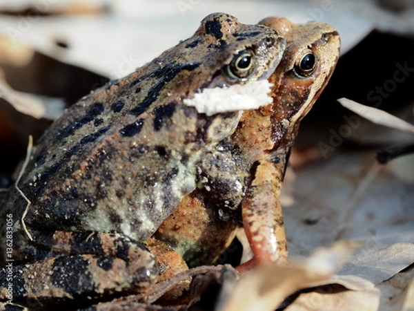 Obraz OLYMPUS DIGITAL CAMERA