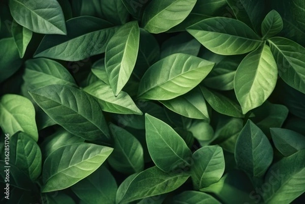 Obraz Green Foliage Close-up