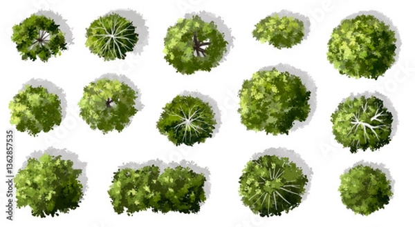 Fototapeta Vector set of Top view green tree for outdoor plan or map and architecture drawing, elements for environment and garden ,botanical elements ,Blooming flowers in spring,tropical plants element