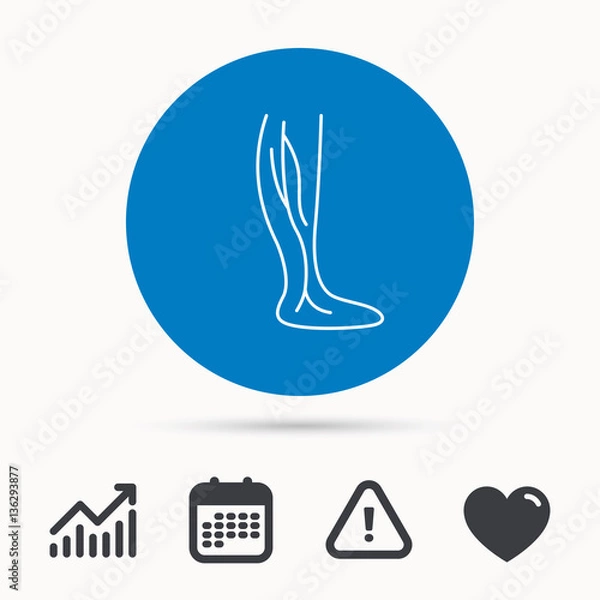 Fototapeta Phlebology icon. Leg veins sign. Varicose or thrombosis symbol. Calendar, attention sign and growth chart. Button with web icon. Vector