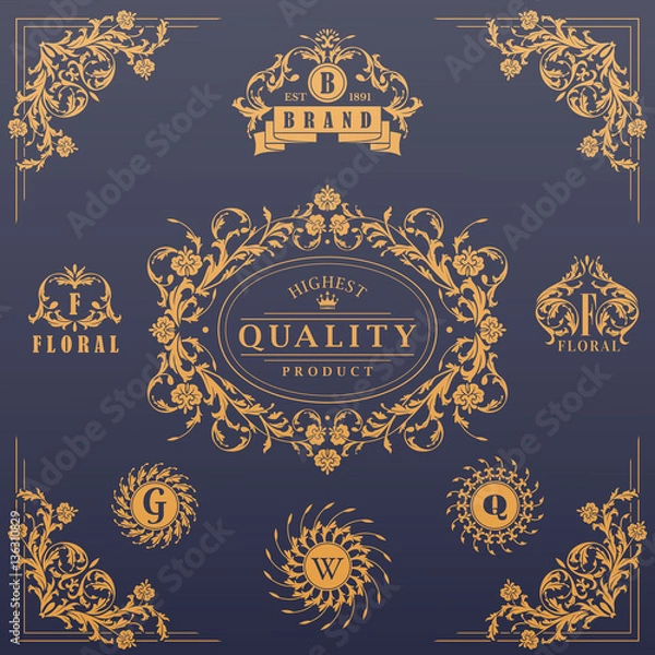 Obraz Calligraphic design elements collection