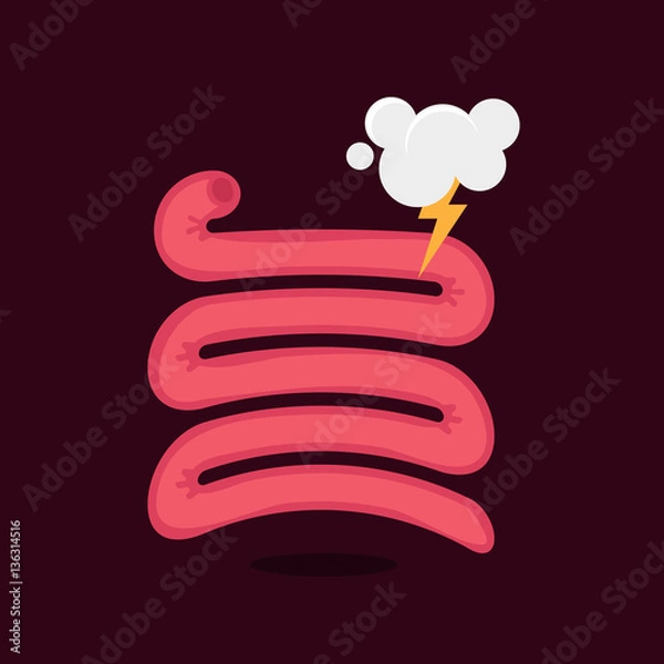 Obraz Small intestine vector illustration