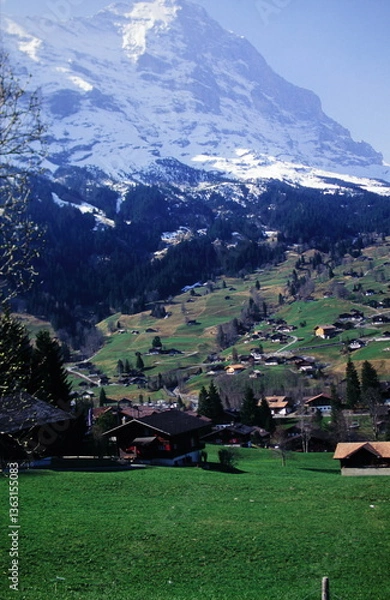Obraz House on Grassland with Swiss Alps Mountain View around Interlaken Switzerland during 2000s