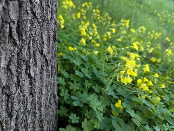 Obraz a tree in a field of yellow wildflowers