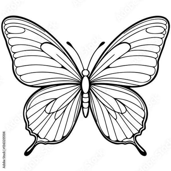 Fototapeta Vector Illustration of a Butterfly with Symmetrical Wings, Antennae, and Decorative Patterns