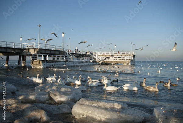 Obraz Zima na plaży w Brzeźnie