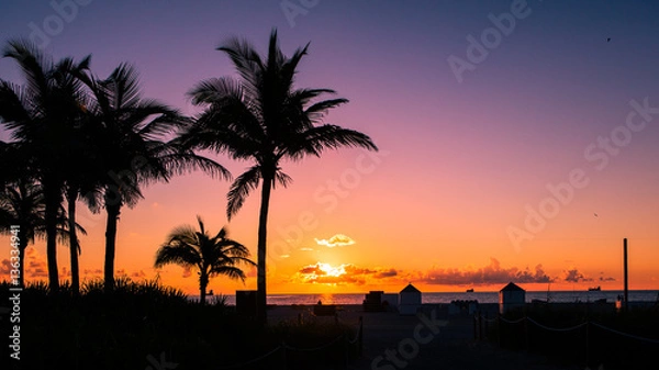 Obraz I Need to Go Back