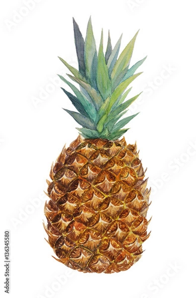 Obraz Watercolor fresh pineapple