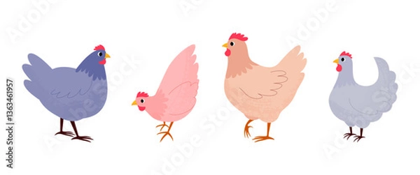 Fototapeta Set of several cute chickens on white background. Hand drawn vector illustration. Poultry farming. Textured illustration. Cozy hobby. Birds in different poses.