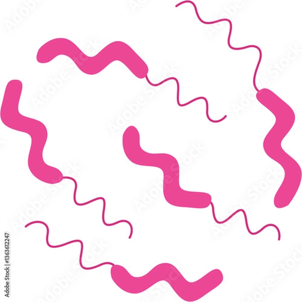 Fototapeta Campylobacter icon