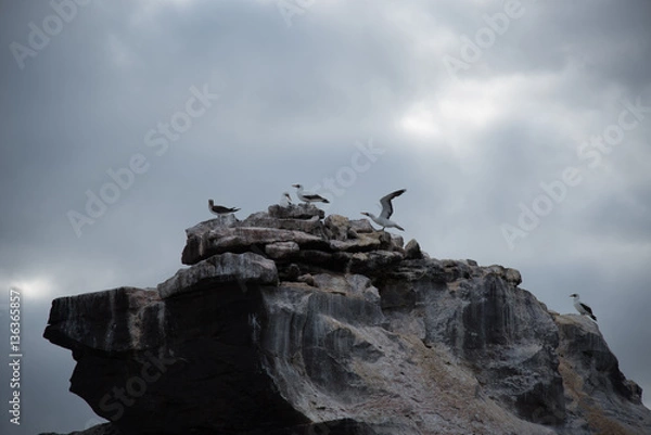 Obraz Galapagos wonder