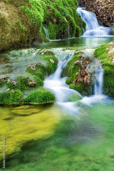 Obraz mountain brook