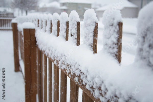 Obraz Snowy fence