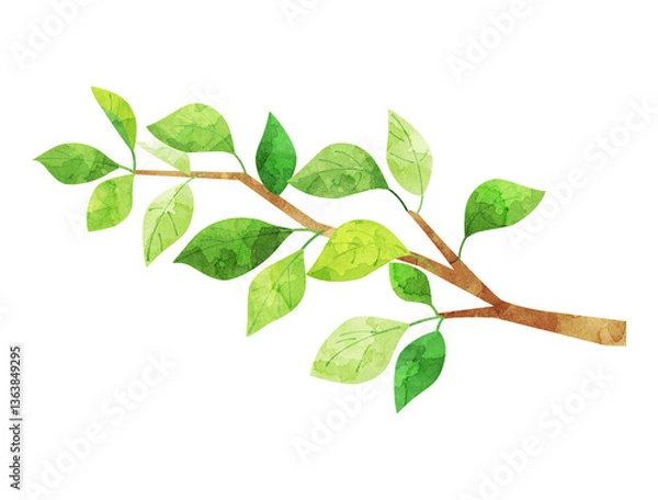 Obraz 緑色の葉がついている枝のイラスト　水彩風加工バージョン
