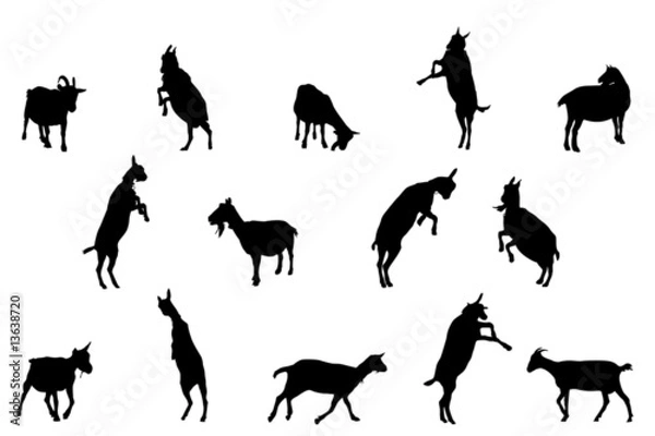 Obraz goat silhouettes, collection for designers