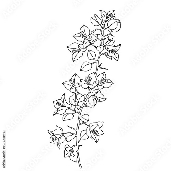 Fototapeta Lotus Flower Line Art | Black and White Vector Coloring Design