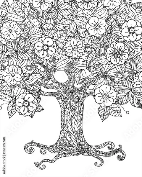 Fototapeta Forest tree isolated