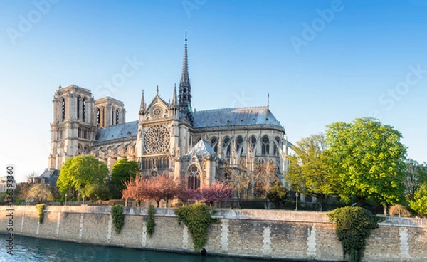 Obraz Katedra Notre Dame w Paryżu w jasne wiosenne popołudnie