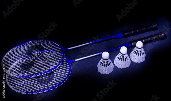 Fototapeta badminton dream