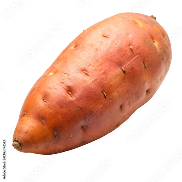 Obraz potato isolated on white background