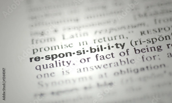 Obraz responsibility