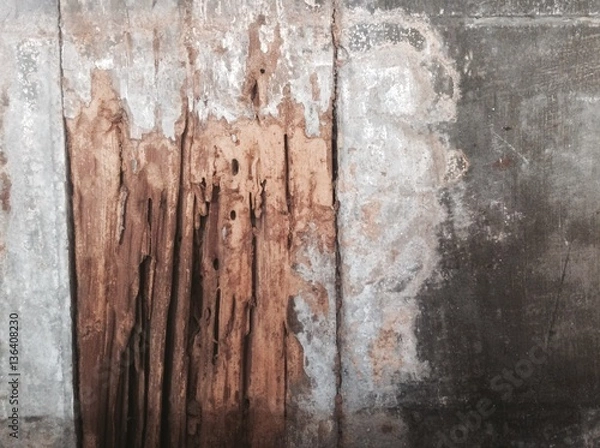 Obraz wood decay