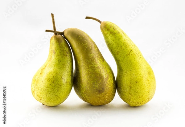Obraz Three Abate Fetel pears isolated on white background.
