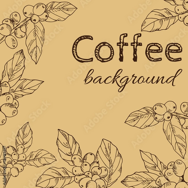 Obraz background vector branch with leaves and berries coffee, hand-drawn