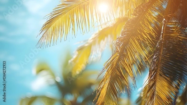 Fototapeta Majestic palm tree with sunlight shining through the leaves creating a beautiful tropical scene