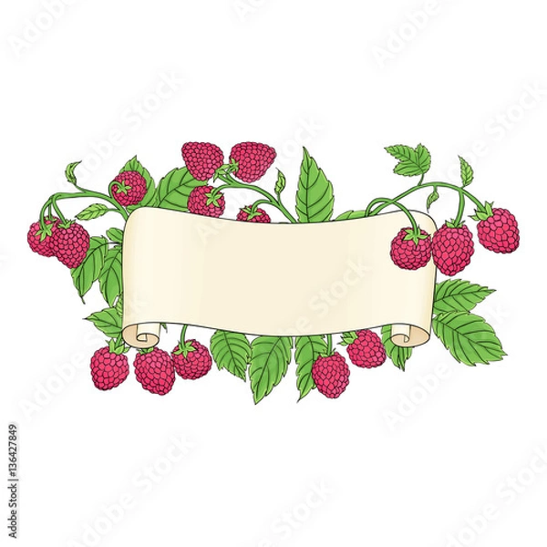 Obraz scroll with raspberries