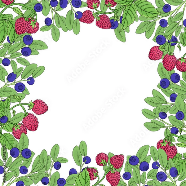 Fototapeta berry square frame