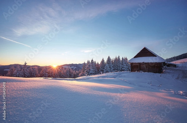Fototapeta Shepherds house in the Carpathian Mountains in winter
