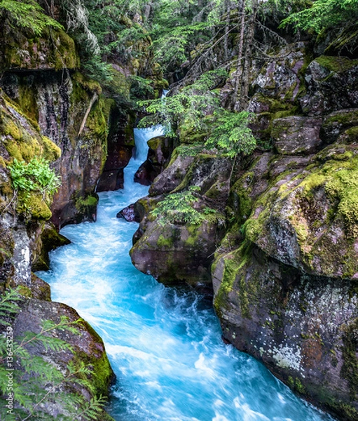 Obraz Rivers in your Mouth