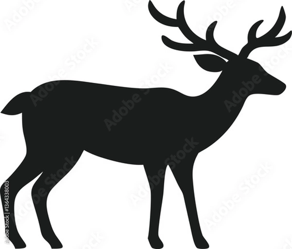 Obraz A standing deer looking forward silhouette 