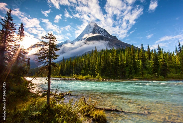 Fototapeta Mount Robson