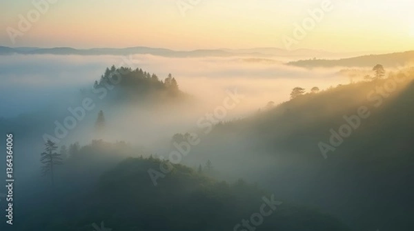 Fototapeta An aerial view of rolling hills covered in dense mist, with tree tops peeking through the fog and soft golden sunlight breaking through the clouds