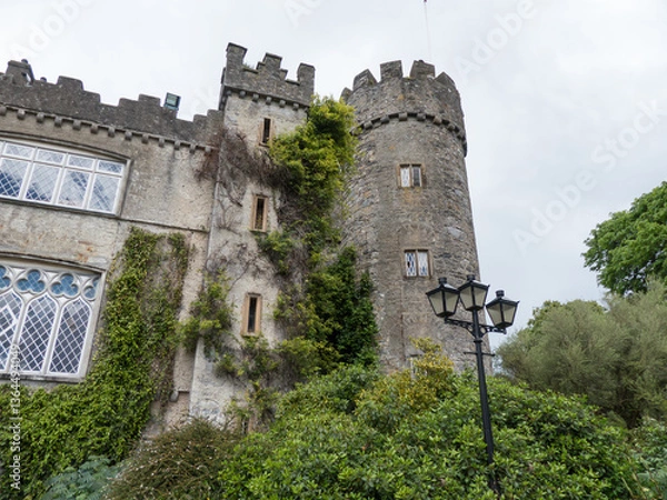 Obraz Malahide Castle, near Dublin, Ireland. Detail of stone tower, with climbing ivy.