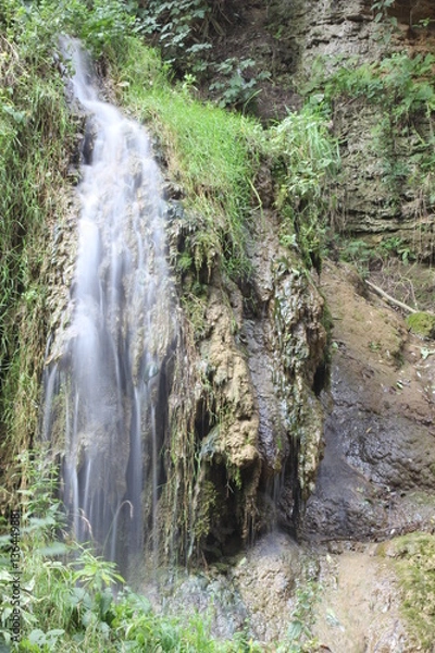 Obraz Forest waterfall