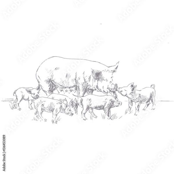 Obraz flat graphic vector illustration pig with piglets
