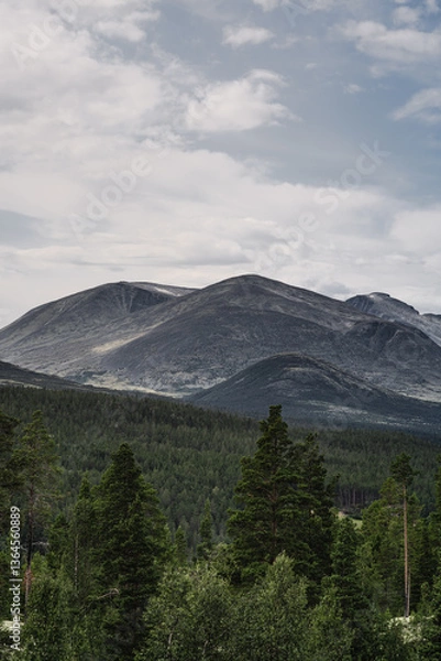 Fototapeta Storronden mountain rises above lush forests in Rondane National Park, Norway, under a cloudy sky. Nature enthusiasts admire the tranquil landscape and stunning views.
