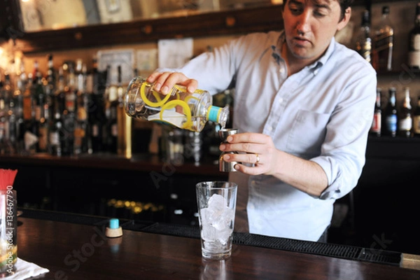 Obraz Bartender making a cocktail