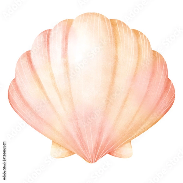 Obraz Watercolor Illustration of a Seashell
