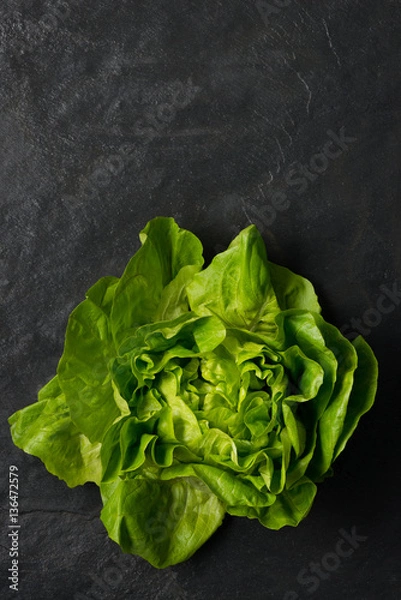 Fototapeta Banner Shot of Lettuce on Dark Gray Stone Surface