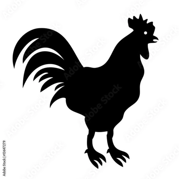 Fototapeta Coq