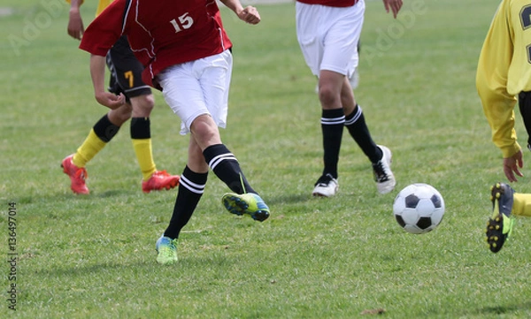 Fototapeta サッカー　フットボール