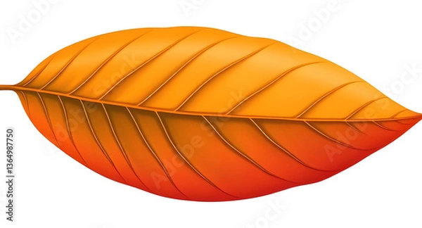 Obraz leaf on white background