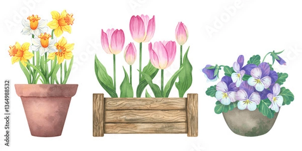 Obraz Watercolor spring flowers in pots - daffodils, tulips & violets for seasonal decor