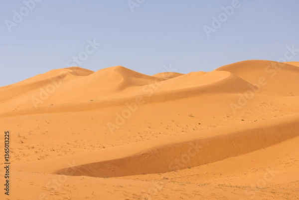 Obraz Red dunes in the Saudi Arabian desert